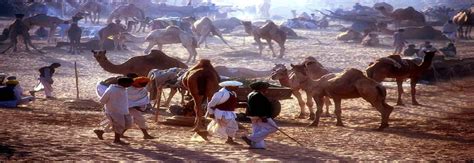 The real Rajasthan. Off the beaten track: wonderful experience .